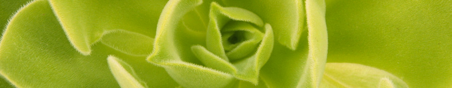 Is there a more effective way to measure diversity than workforce demographics?